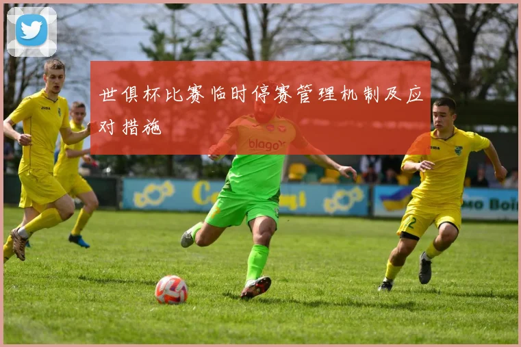 世俱杯比赛临时停赛管理机制及应对措施