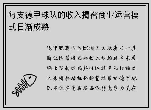 每支德甲球队的收入揭密商业运营模式日渐成熟